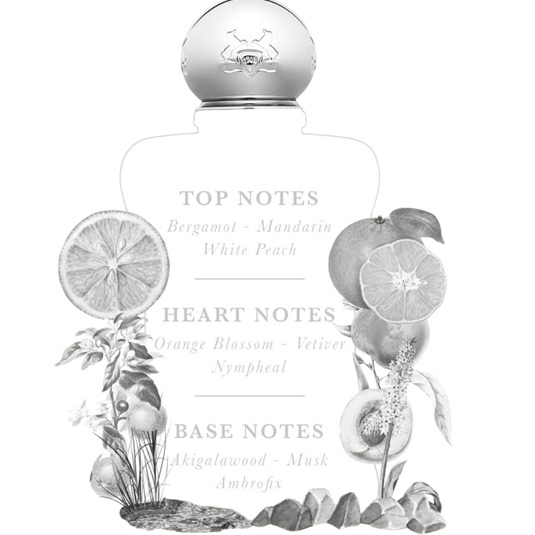 Perfume bottle with botanical illustrations and notes on a white background
